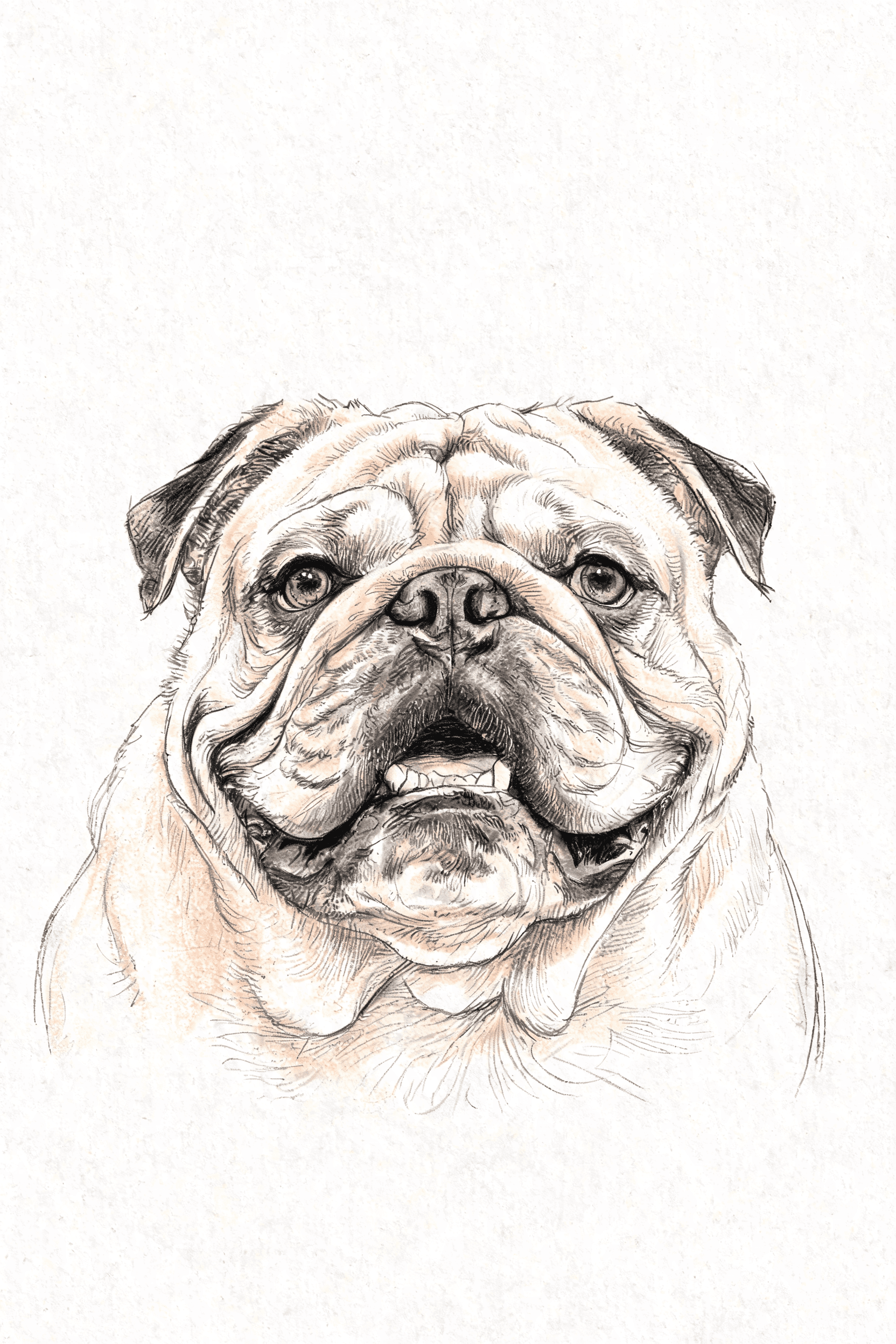 Sketch — AI pet portrait