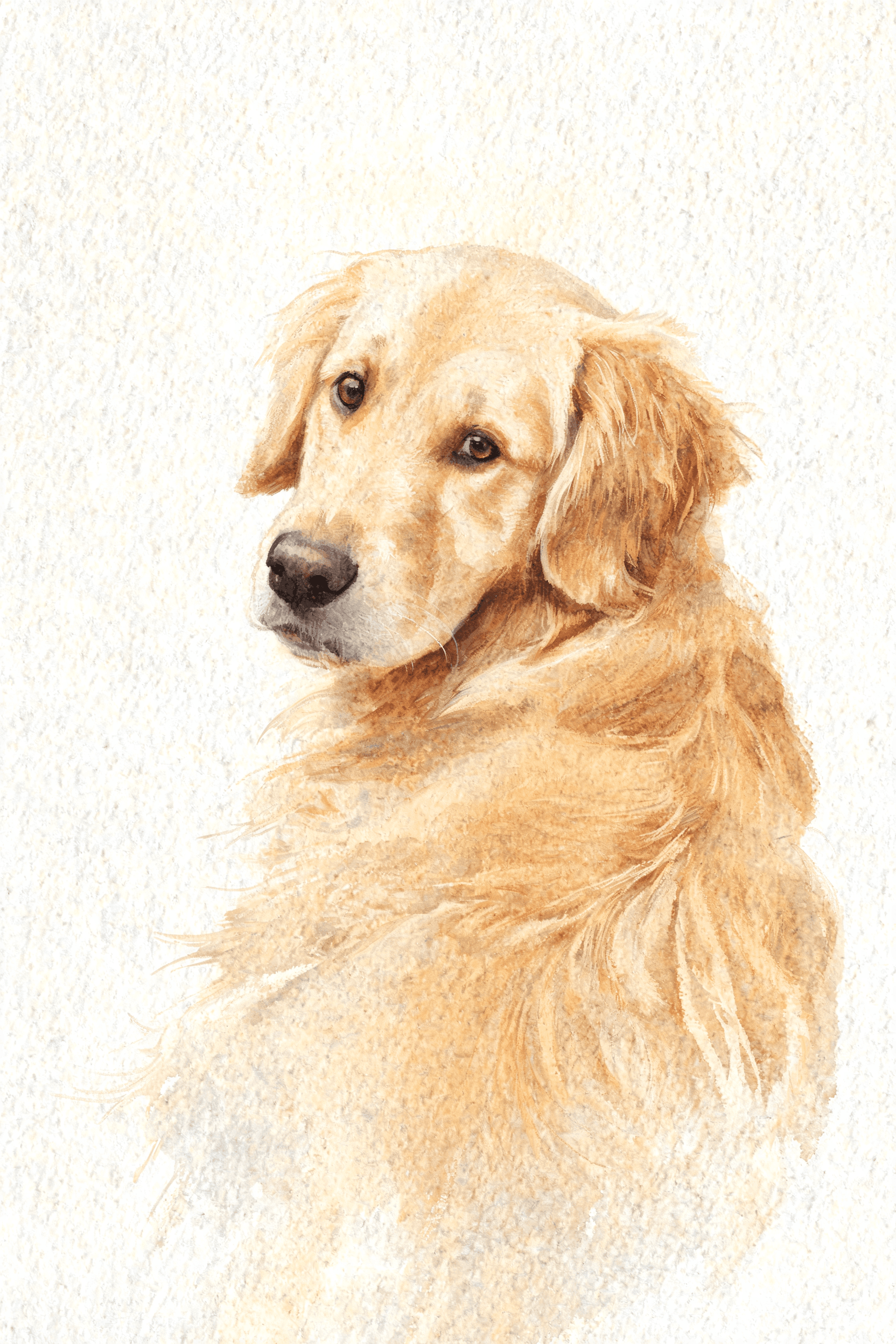 Watercolor AI pet portrait of a Golden Retriever glancing over its shoulder